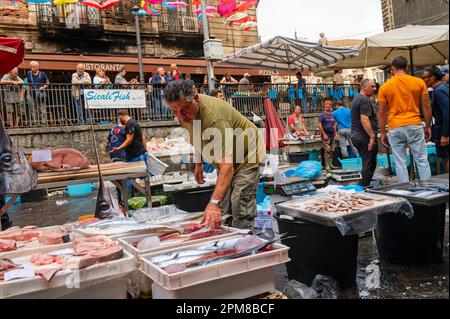 Italie, Sicile, Catane, ville baroque classée au patrimoine mondial de l'UNESCO, le marché aux poissons de la place Alonzo di Benedetto Banque D'Images