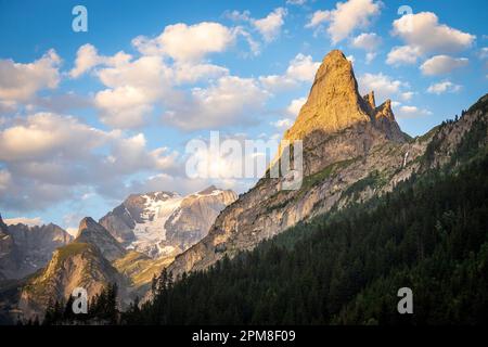 France, Savoie, Pralognan-la-Vanoise, Parc National de la Vanoise, la pointe Ouest du Grand Marchet (2557 m) et la Grande casse (3855 m) en arrière-plan Banque D'Images