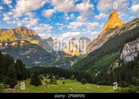 France, Savoie, Pralognan-la-Vanoise, Parc National de la Vanoise, la pointe Ouest du Grand Marchet (2557 m) et la Grande casse (3855 m) en arrière-plan Banque D'Images