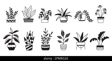 Plantes de maison en pots, ensemble de plantes de maison Illustration de Vecteur