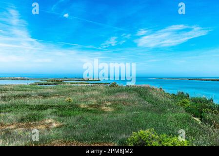 Embouchure de la rivière Ebro le parc naturel du delta de l'Ebre à Sant Jaume d'Enveja, Tarragone; Catalogne; Espagne Banque D'Images