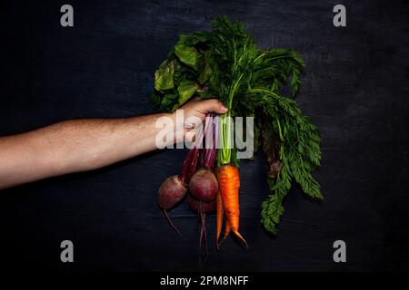 Un adulte de sexe masculin présente une sélection de légumes fraîchement récoltés, y compris des carottes avec leurs feuilles, sur un terrain noir Banque D'Images