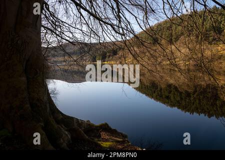 Un beau matin de printemps au réservoir Ladybower dans le parc national Peak District, Derbyshire, Angleterre. Banque D'Images