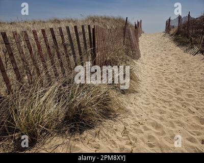 Plage d'État de Misquamicut   Misquamicut, Rhode Island, États-Unis Banque D'Images