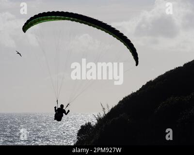 Un parapente vole au-dessus d'un océan avec une colline sommet de falaise à sa droite.silhouette de fond.oiseau de mer visible à distance Banque D'Images