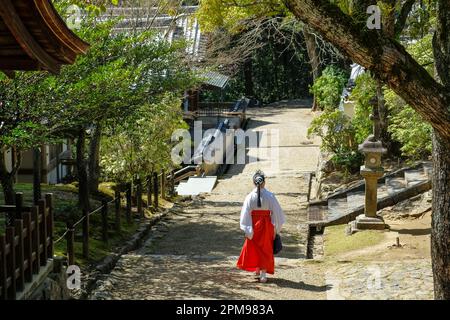 Nara, Japon - 22 mars 2023 : une femme vêtue d'un kimono au sanctuaire de Kasuga Taisha situé à l'est du parc Nara à Nara, Japon. Banque D'Images