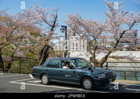 Okayama, Japon - 4 avril 2023 : un taxi à côté des cerisiers en fleurs à Okayama, Japon. Banque D'Images