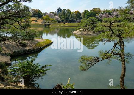 Okayama, Japon - 4 avril 2023: Okayama Korakuen Garden est un jardin japonais situé à Okayama, Japon. Banque D'Images