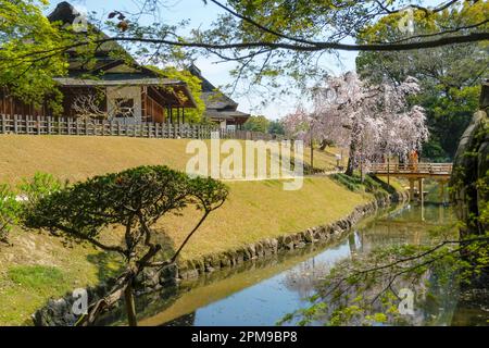 Okayama, Japon - 4 avril 2023: Okayama Korakuen Garden est un jardin japonais situé à Okayama, Japon. Banque D'Images