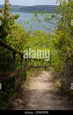 Long sentier équipé de marches en gravier et d'une main courante en bois pour les touristes dans la forêt ensoleillée d'été. Sentier de randonnée vide dans la réserve naturelle Banque D'Images