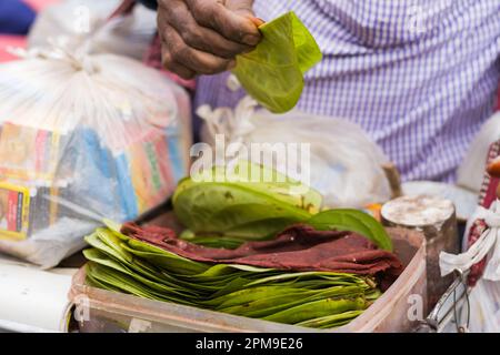 Les feuilles de bétel sont vendues dans le magasin de bord de route de l'Inde. Cuisine de rue très populaire en inde.main tenant des feuilles de bétel vert pour farcir avec divers co Banque D'Images