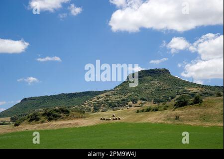 Valle dei vulcani. Logudoro Meilogu.Paesaggio vicino a Siligo. Sardegna. Italie Banque D'Images