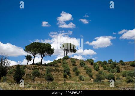 Valle dei vulcani. Logudoro Meilogu.Paesaggio vicino a Siligo. Sardegna. Italie Banque D'Images