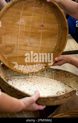 Femelle anonyme préparant de la pâte pour des pâtes gnocchetti faites maison préparazione de 'sos cicciones', gli gnocchetti. Bessude. Sassari Sardaigne, Italie Banque D'Images