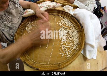 Femelle anonyme préparant de la pâte pour des pâtes gnocchetti faites maison préparazione de 'sos cicciones', gli gnocchetti. Bessude. Sassari Sardaigne, Italie Banque D'Images