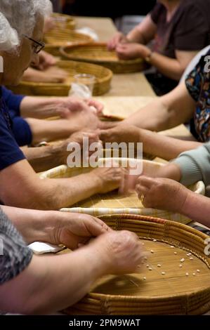 Femelle anonyme préparant de la pâte pour des pâtes gnocchetti faites maison préparazione de 'sos cicciones', gli gnocchetti. Bessude. Sassari Sardaigne, Italie Banque D'Images