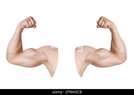 coupez les bras mâles avec les muscles du biceps fléchis isolés sur le blanc Banque D'Images