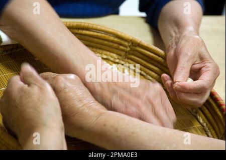 Femelle anonyme préparant de la pâte pour des pâtes gnocchetti faites maison préparazione de 'sos cicciones', gli gnocchetti. Bessude. Sassari Sardaigne, Italie Banque D'Images