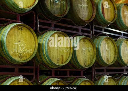 Fûts de vin, vignoble de Bulas, près de Pinhao, fleuve Douro, Portugal Banque D'Images