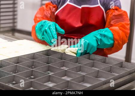 Production laitière et hellim (halloumi) de fromage à Nicosie, Chypre Banque D'Images