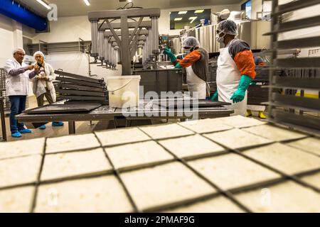 Production laitière et hellim (halloumi) de fromage à Nicosie, Chypre Banque D'Images