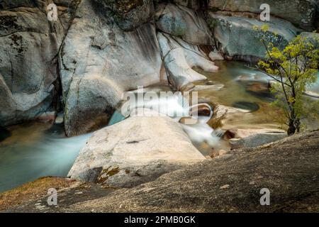 Vue sur Los Pilones dans la Garganta de Los Infiernos dans la réserve naturelle de Garganta de Los Iniernos à Caceres, Espagne Banque D'Images