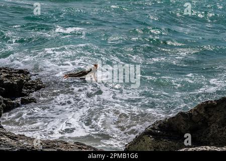 Un surfeur se lance dans la mer depuis les rochers de Pentire point East à Newquay, en Cornouailles, au Royaume-Uni. Banque D'Images