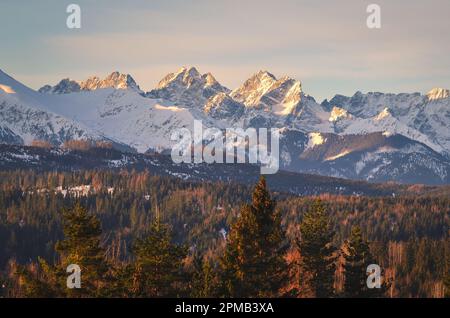 Panorama charmant des montagnes polonaises Tatra le matin. Vue sur les Hautes Tatras depuis le village de Lapszanka, Pologne. Banque D'Images