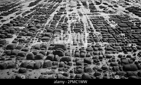 Rochers à marée basse sur les falaises de hunstanton Beach monochrome Banque D'Images