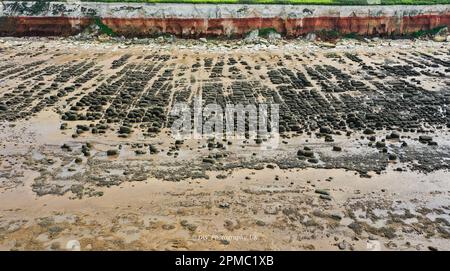 Hunstanton Cliffs Beach Low Tide Boulders Norfolk Banque D'Images