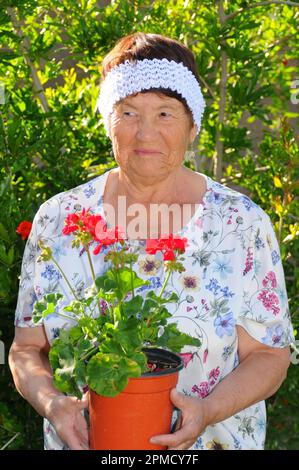 Une femme âgée qui tend à un hibiscus Banque D'Images