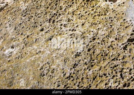 Texture poreuse en pierre naturelle. Banque D'Images