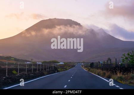 Lanzarote, îles Canaries, Volcán de la Corona -- plantes colorées dans un paysage volcanique au printemps Banque D'Images