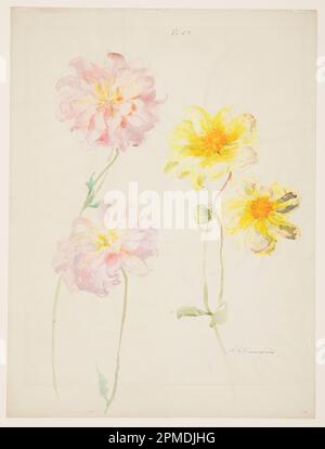 Dessin, Etude de Dahlias; conçu par Sophia L. Crownfield (américain, 1862–1929); Etats-Unis; pinceau et aquarelle, graphite sur papier blanc; 60,8 × 45,9 cm (23 15/16 × 18 1/16 po.) Tapis : 101,6 × 76,2 cm (40 × 30 po) Banque D'Images