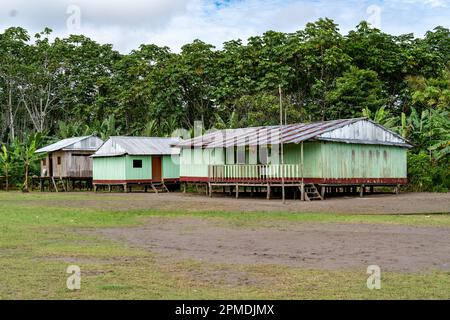 Les communautés et les maisons de Riberenos ponctuent l'Amazonie péruvienne Banque D'Images