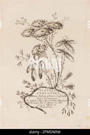 Imprimé, page de titre, de 'fleurs Persannes'; Imprimeur: Jean-Baptiste Pillement (Français, 1728–1808); France; gravure sur papier; papier: 41,8 × 38 cm (16 7/16 × 14 15/16 po.) Plaque : 31 × 21,2 cm (12 3/16 × 8 3/8 po) Banque D'Images