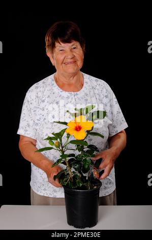 Une femme âgée qui tend à un hibiscus Banque D'Images