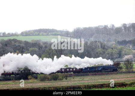 Peterborough, Royaume-Uni. 10th avril 2023. La locomotive à vapeur Sir Nigel Gresley 60007, qui a l'air resplendissante dans sa décoration BR Blue, se démène dans la campagne de Peterborough, sur le chemin de fer de la vallée de Nene à Peterborough, Cambridgeshire. Crédit : Paul Marriott/Alay Live News Banque D'Images