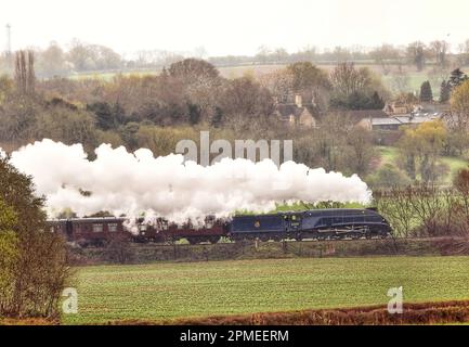 Peterborough, Royaume-Uni. 10th avril 2023. La locomotive à vapeur Sir Nigel Gresley 60007, qui a l'air resplendissante dans sa décoration BR Blue, se démène dans la campagne de Peterborough, sur le chemin de fer de la vallée de Nene à Peterborough, Cambridgeshire. Crédit : Paul Marriott/Alay Live News Banque D'Images