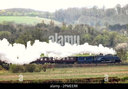 Peterborough, Royaume-Uni. 10th avril 2023. La locomotive à vapeur Sir Nigel Gresley 60007, qui a l'air resplendissante dans sa décoration BR Blue, se démène dans la campagne de Peterborough, sur le chemin de fer de la vallée de Nene à Peterborough, Cambridgeshire. Crédit : Paul Marriott/Alay Live News Banque D'Images