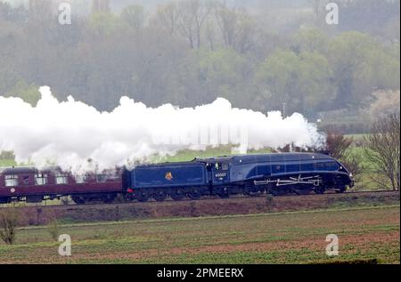 Peterborough, Royaume-Uni. 10th avril 2023. La locomotive à vapeur Sir Nigel Gresley 60007, qui a l'air resplendissante dans sa décoration BR Blue, se démène dans la campagne de Peterborough, sur le chemin de fer de la vallée de Nene à Peterborough, Cambridgeshire. Crédit : Paul Marriott/Alay Live News Banque D'Images