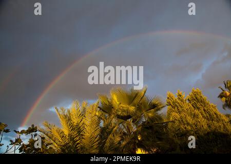 Arc-en-ciel sur un fond sombre de ciel orageux photographié en Israël Banque D'Images