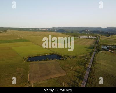 Vue aérienne sur un lac entouré d'un champ de blé vert à la campagne. Champ de blé soufflant dans le vent comme la mer verte. Épis d'orge dans la nature Banque D'Images