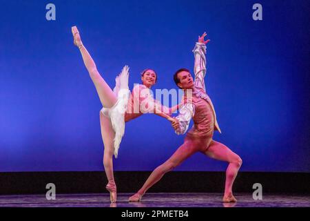 Une paire de danseurs de ballet exécutant Carmina Burana Banque D'Images