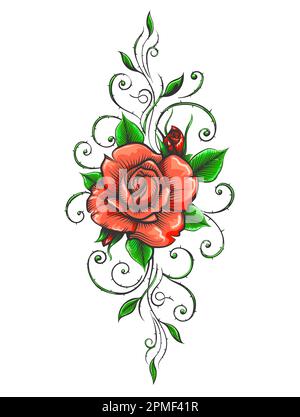 Tatouage de Roses de couleur fleur dessiné en style gravure isolé sur blanc. Illustration de Vecteur