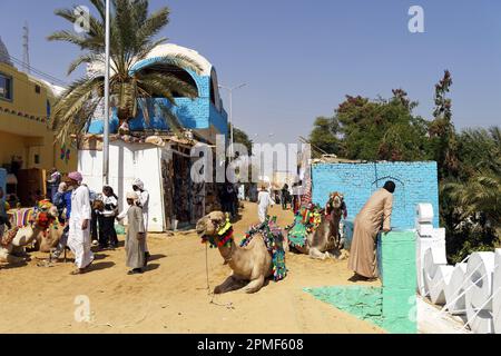 Égypte, haute Égypte, Vallée du Nil, Nubie, Assouan, Gharb Sehel, village nubien Banque D'Images