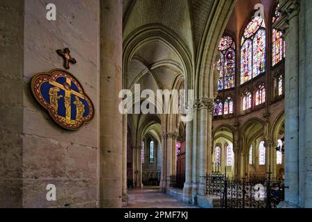 France, Aube, Troyes, Cathédrale Saint-Pierre-et-Saint-Paul de Troyes Banque D'Images