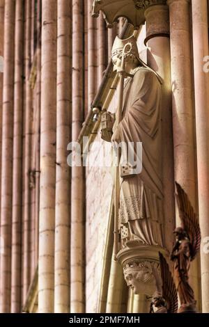 France, Aube, Troyes, Cathédrale Saint-Pierre-et-Saint-Paul de Troyes, statue Banque D'Images