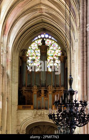 France, Aube, Troyes, Cathédrale Saint-Pierre-et-Saint-Paul de Troyes, orgue Banque D'Images