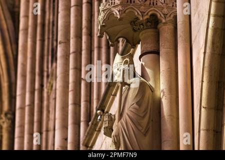 France, Aube, Troyes, Cathédrale Saint-Pierre-et-Saint-Paul de Troyes, statue Banque D'Images